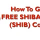 How to get Shiba for free?