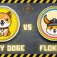 Baby Dogecoin or Floki Inu?