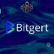 An Introduction to Bitgert Cryptocurrency