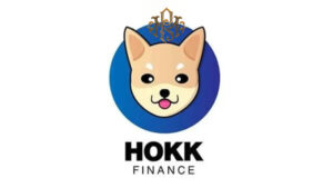 Is Hokk digital currency worth buying