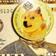 The future of Dogecoin according to Elon Musk