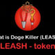 What is LEASH digital currency?