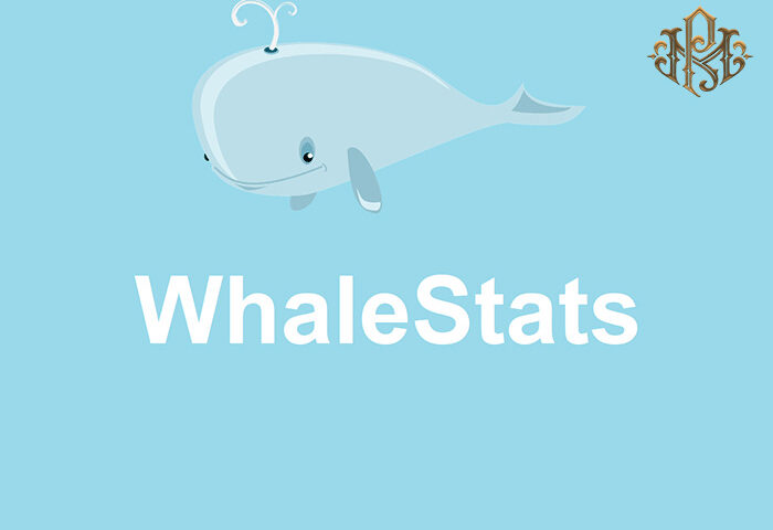 What is Whalestats? Tutorial on how to work with Whalestats