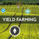 What is Yield Farming? How to earn reward from yield farming