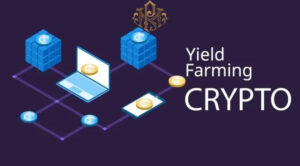 Learning how to make money through yield farming