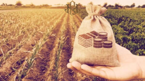 The advantages of Yield farming