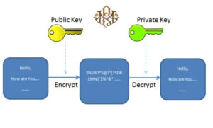 Application of public key and private key in email encryption