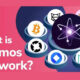 Introduction to Cosmos Network