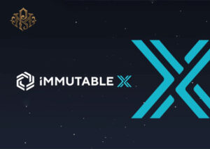 How does the Immutable X protocol work?