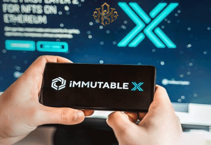 A Complete Introduction to Immutable X protocol