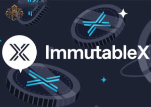 The Immutabl X protocol with innovations and capabilities in the field of immutable tokens
