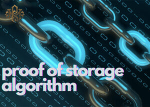 Background of the Proof-of-Storage Protocol