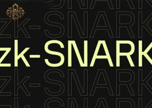What cryptocurrencies use ZK-SNARK?