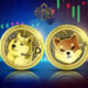 DOGE vs. SHIBA | Which one is better?