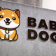 What is Baby Dogecoin? | Is it worth investing?