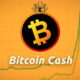 Bitcoin Cash (BCH) Future? | Will the uptrend continue?