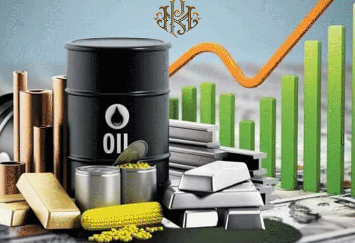 What is a commodity? | Introduction of Commodity Market