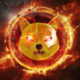 12% increase in Shiba Inu and four-digit burning rate