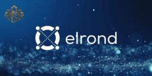 Exploring the ecosystem of Elrond