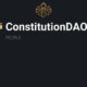 The ConstitutionDAO project: Features, Challenges and Opportunity