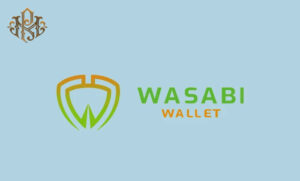 Getting to know the Wasabi wallet