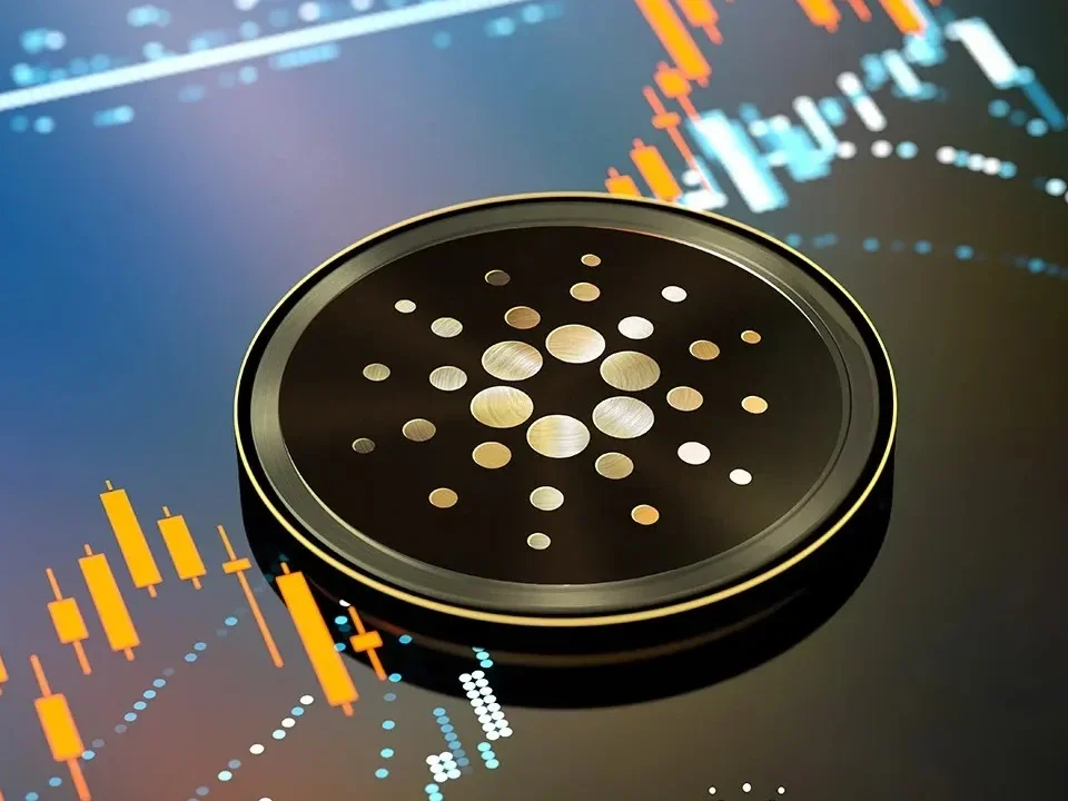 Why Cardano can have a bright future?