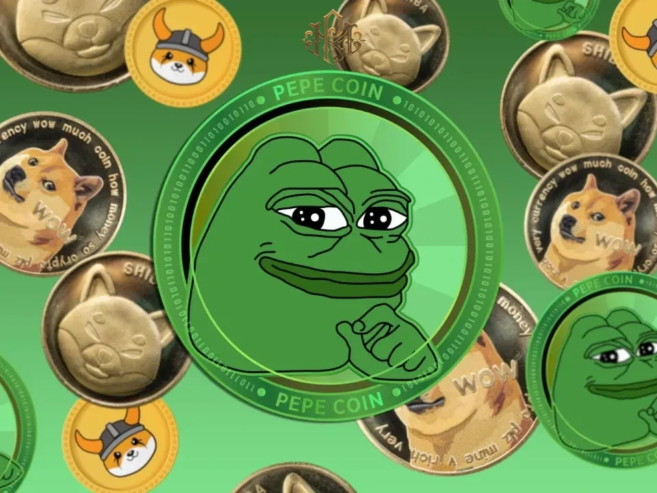 A Stunning Success Story from Meme Coin Investments